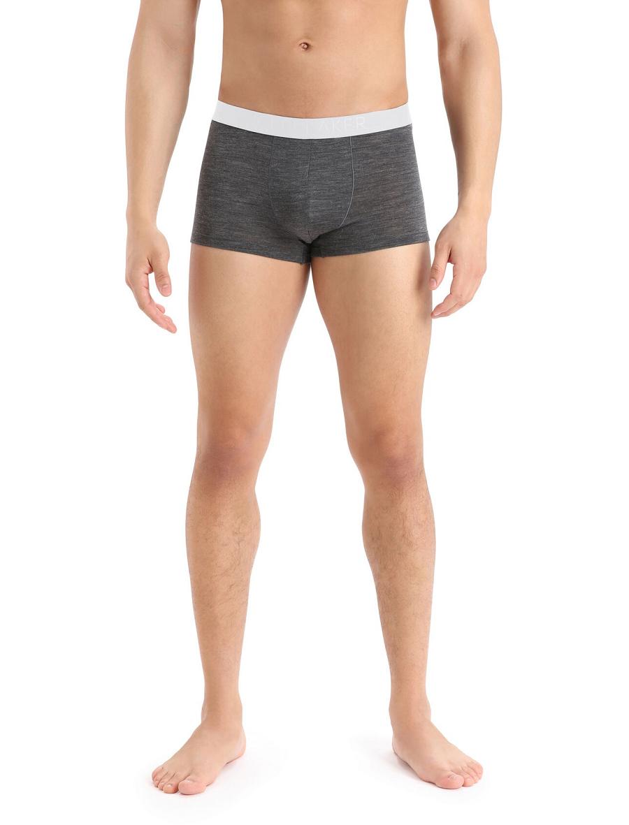 Icebreaker Cool-Lite™ Merino Anatomica Trunks Férfi Fehérnemű Taupe | HU 1288WNBY